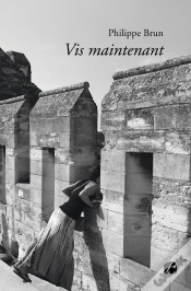 Capa do artigo Vis Maintenant