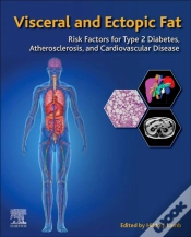 Capa do artigo Visceral And Ectopic Fat