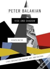 Capa do artigo Vise And Shadow