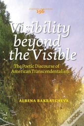 Visibility Beyond The Visible