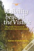 Visibility Beyond The Visible