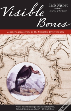 Capa do artigo Visible Bones