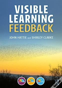 Capa do artigo Visible Learning: Feedback