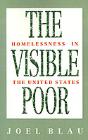 Visible Poor - Preview