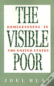 Capa do artigo Visible Poor