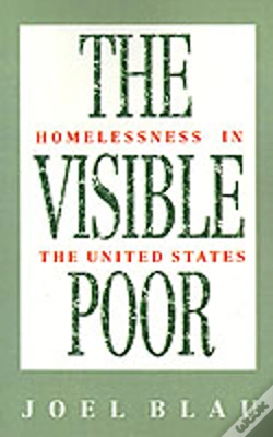 Capa do artigo Visible Poor