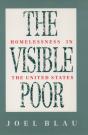 Visible Poor - Preview