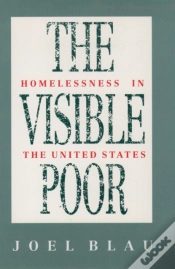 Capa do artigo Visible Poor