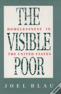 Capa do artigo Visible Poor