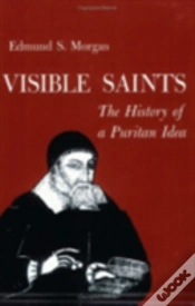 Capa do artigo Visible Saints