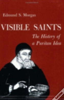 Capa do artigo Visible Saints