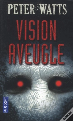 Capa do artigo Vision Aveugle