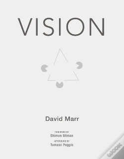 Capa do artigo Vision