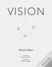 Vision