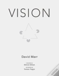 Capa do artigo Vision