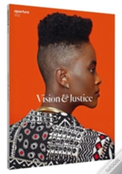 Capa do artigo Vision & Justice