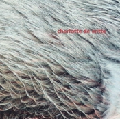 Capa do artigo Vision EP - Vinil