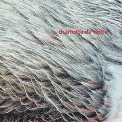Capa do artigo Vision EP - Vinil