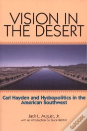 Capa do artigo Vision In The Desert