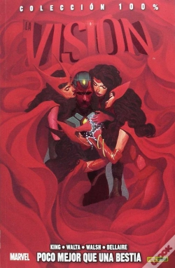 Capa do artigo Vision, La