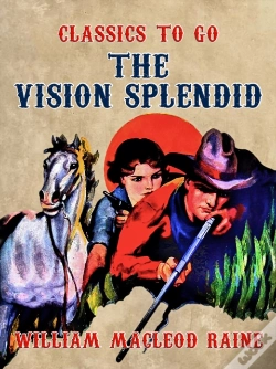 Capa do artigo Vision Splendid