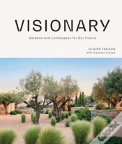 Capa do artigo Visionary