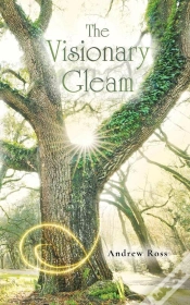 Capa do artigo Visionary Gleam