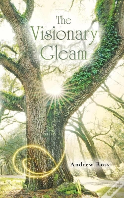 Capa do artigo Visionary Gleam