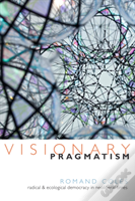 Visionary Pragmatism
