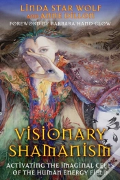 Capa do artigo Visionary Shamanism