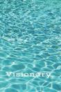 Visionary - Preview
