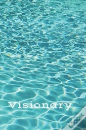 Visionary