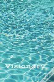 Capa do artigo Visionary
