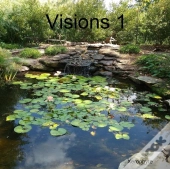 Visions 1