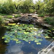 Visions 1