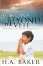 Visions Beyond The Veil - Preview