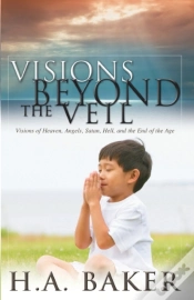 Capa do artigo Visions Beyond The Veil