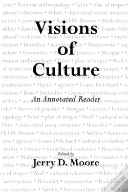 Capa do artigo Visions Of Culture