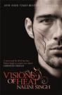 Visions Of Heat - Preview