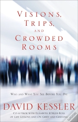 Capa do artigo Visions, Trips And Crowded Rooms