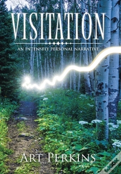 Capa do artigo Visitation
