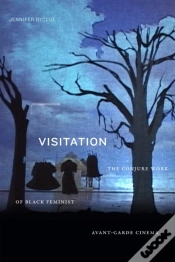 Capa do artigo Visitation