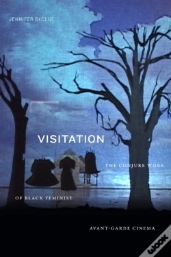 Capa do artigo Visitation