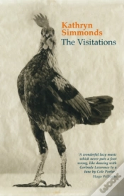Capa do artigo Visitations
