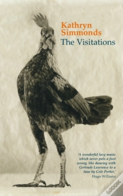 Capa do artigo Visitations