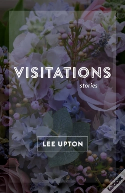 Capa do artigo Visitations