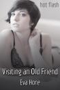 Visiting An Old Friend - Preview