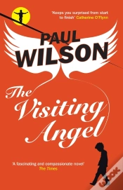 Capa do artigo Visiting Angel