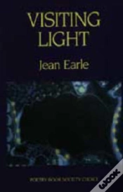 Capa do artigo Visiting Light