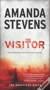 Capa do artigo Visitor
